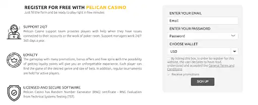 Pelican Kasyno