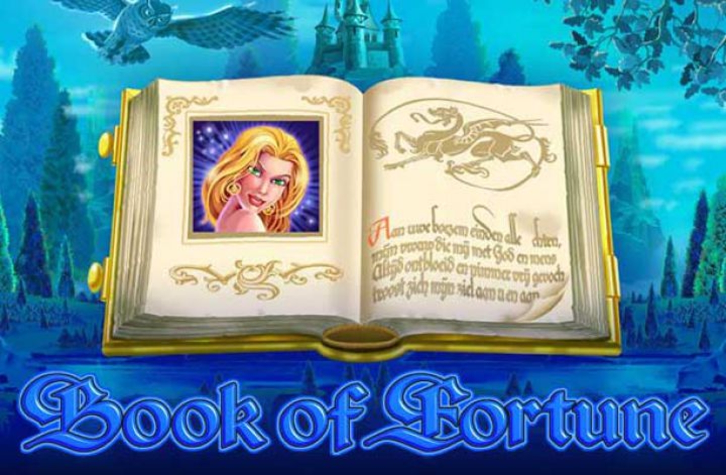 The Book of Fortune Online Slot Demo Game by Amatic Industries
