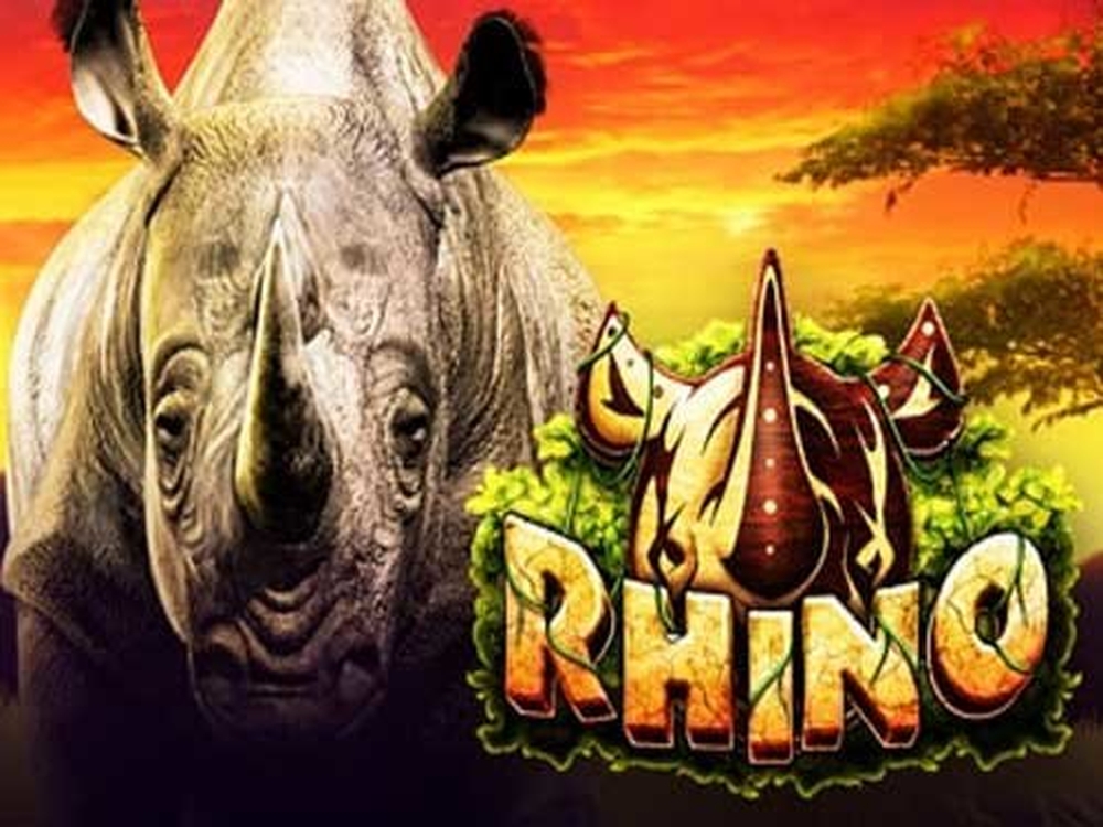 Rhino demo