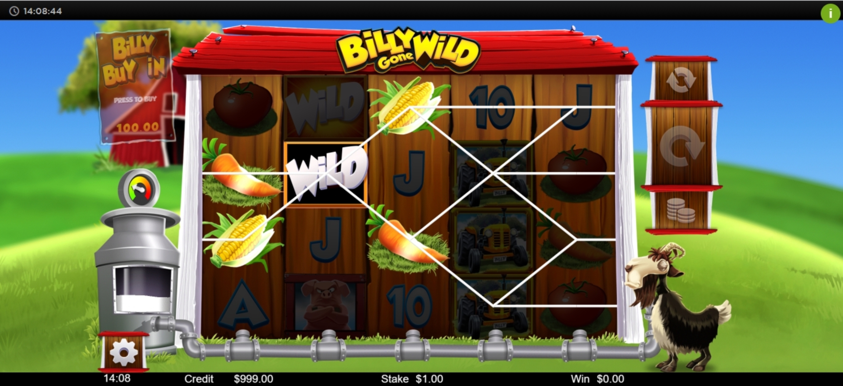 Win Money in Billy Gone WIld Free Slot Game by Live 5 Gaming