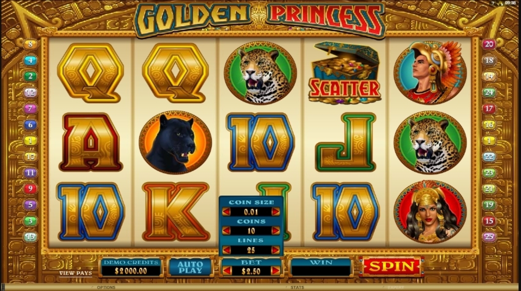 Reels in Golden Princess Slot Game by Microgaming