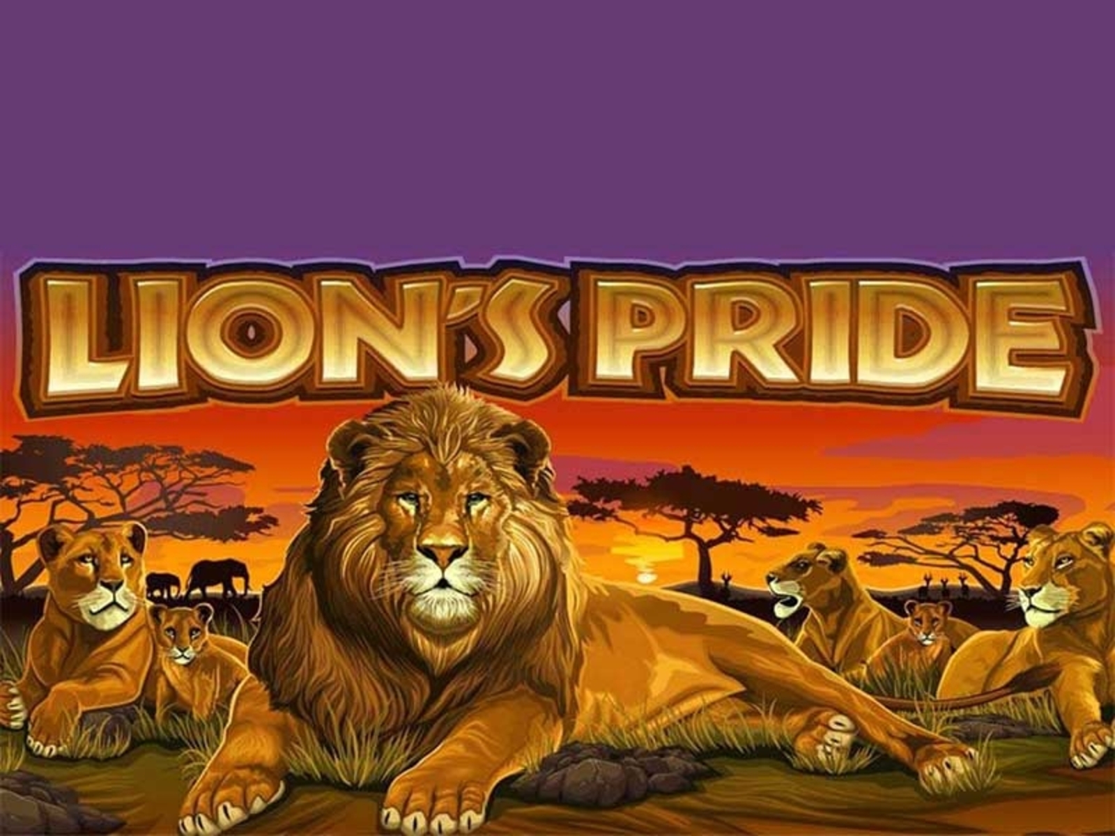 The Lion's Pride Online Slot Demo Game by Microgaming
