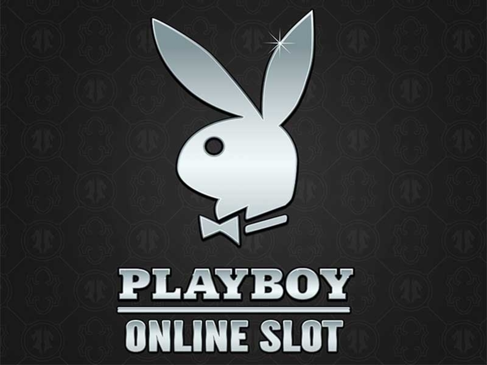 Playboy demo