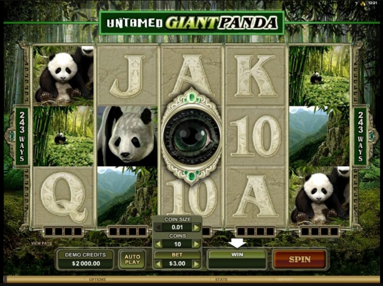 Reels in Untamed Giant Panda Slot Game by Microgaming