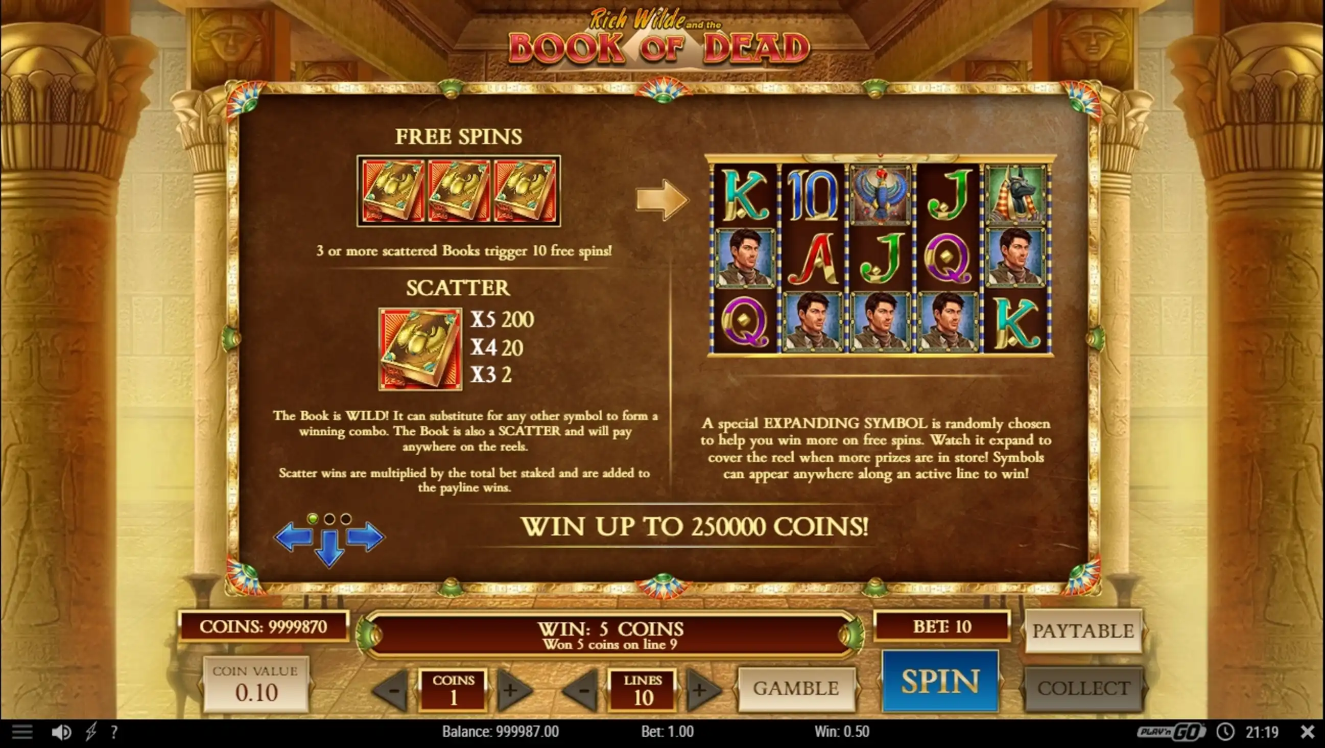 Info of Book of Dead Slot Game by Playn GO