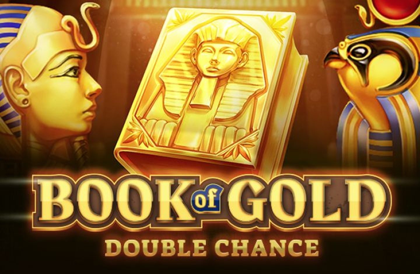 The Book of Gold: Double Chance Online Slot Demo Game by Playson