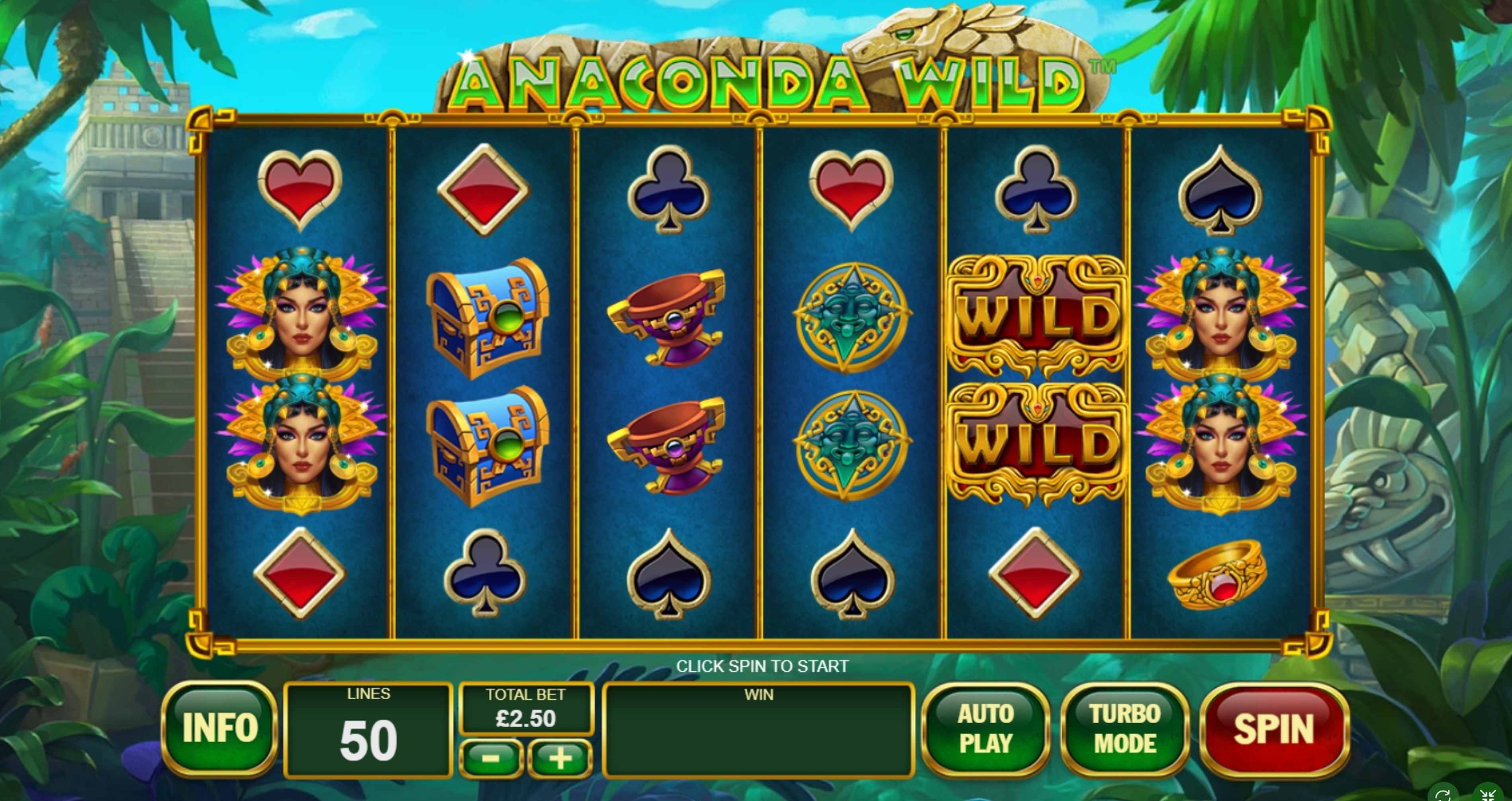 Reels in Anaconda Wild Slot Game by Playtech